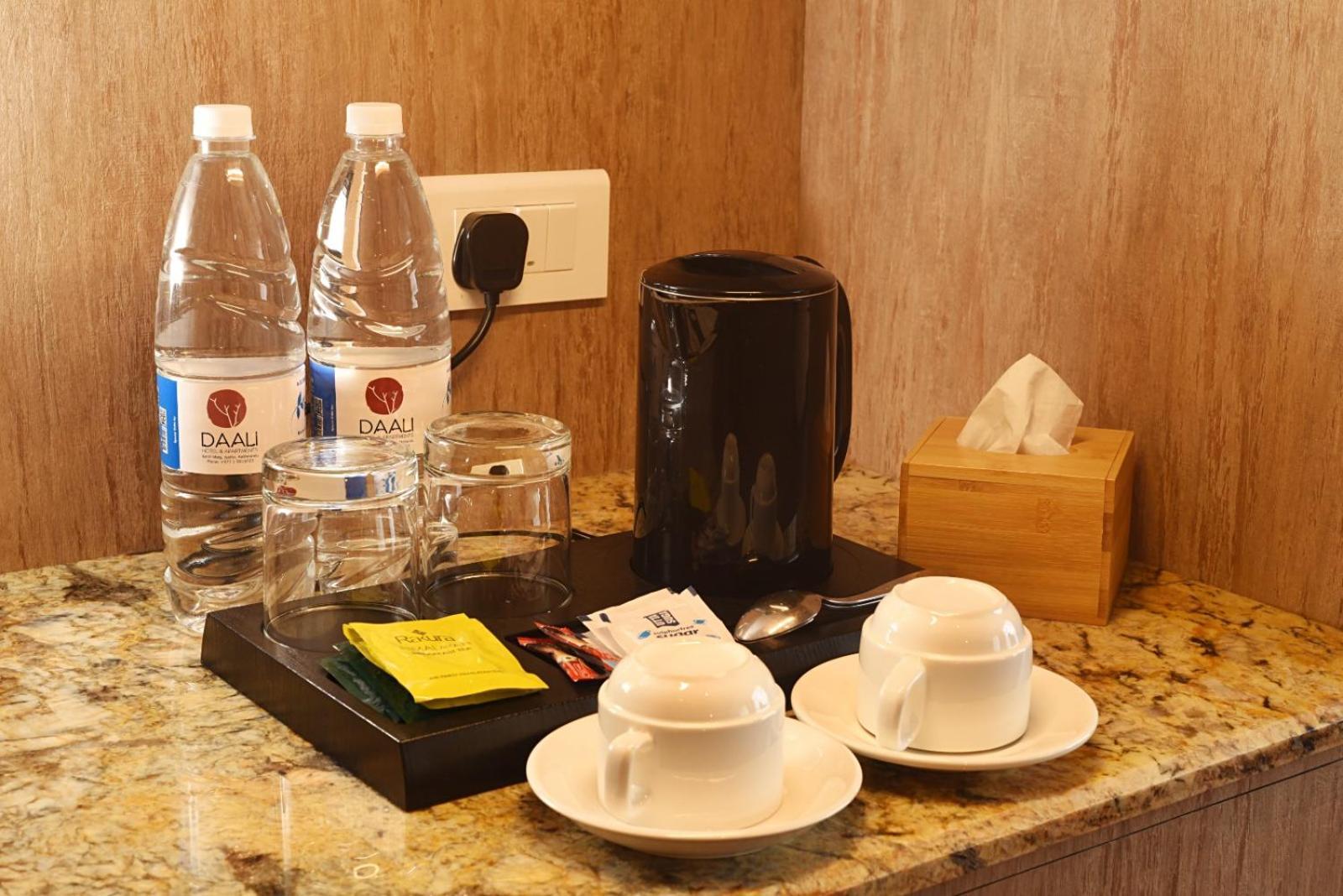 Daali Hotel & Apartment Katmandu Zewnętrze zdjęcie